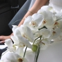 Ślubna gałązka z białymi storczykami