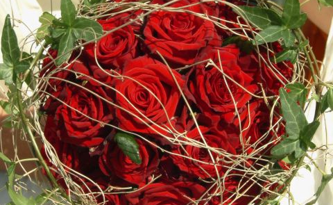 Gałązki, bluszcz i czerwone róże